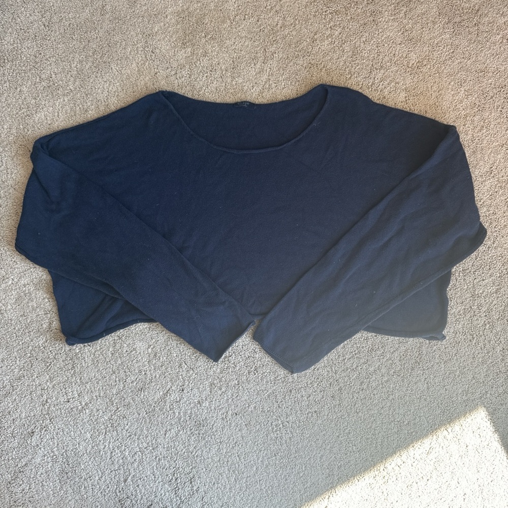 Brandy Melville Blue Crop Sweatshirt